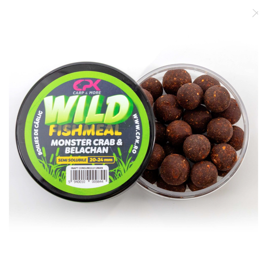 BOILIES CARLIG WILD CARP FISHMEAL 20 & 24MM TARI