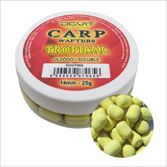 CARP WAFTERS TROPICAL